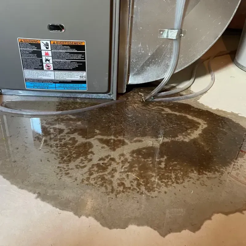 Appliance Leak Cleanup in East Independence, MO